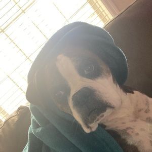 Meet your Posher, Maeon